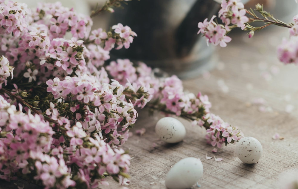 Photo Menu Paques Smusauer Strasbourg