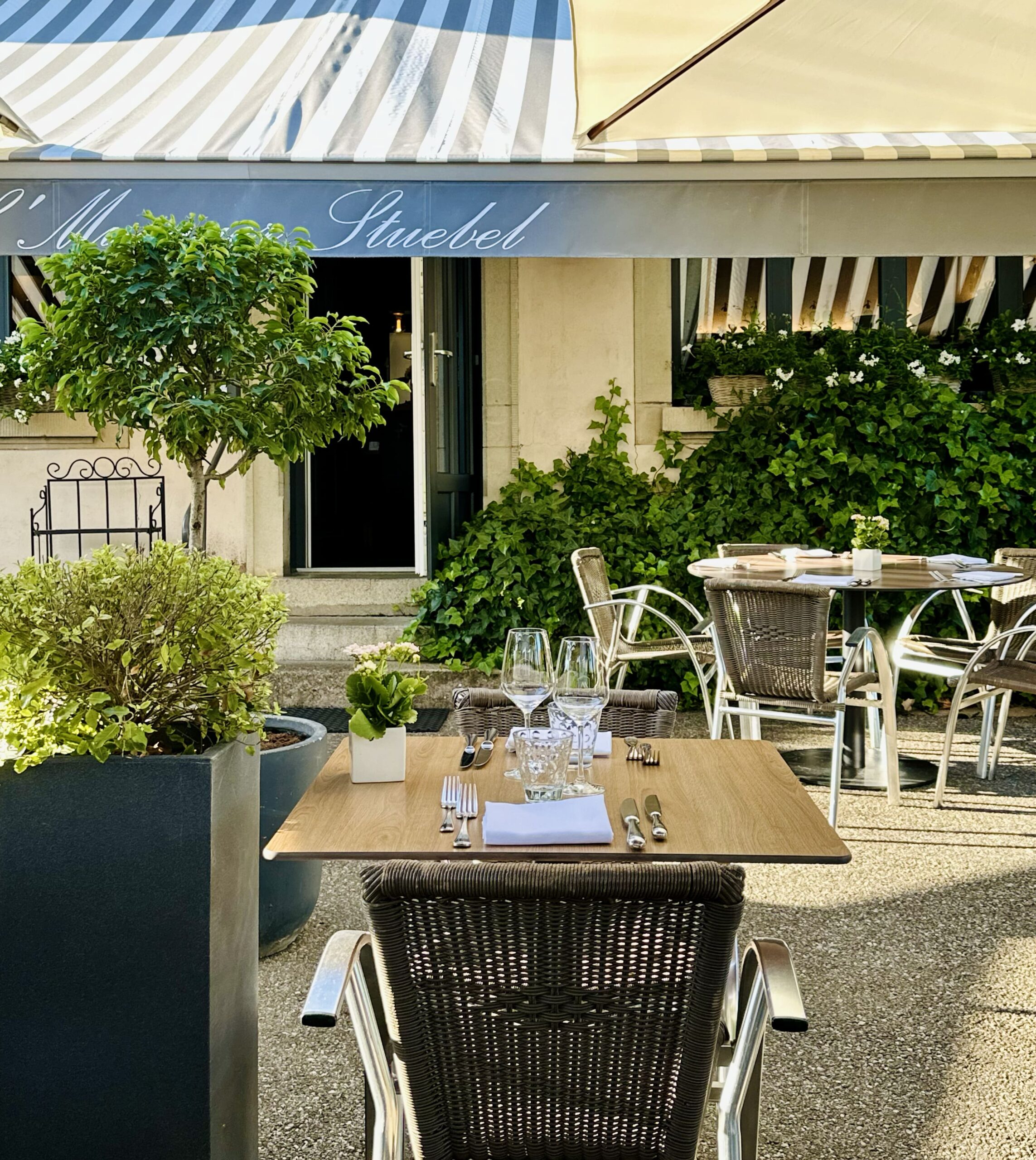 Pop-up Ouverture Mai-2